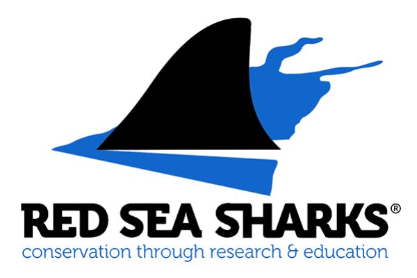 RED SEA SHARKS LOGO SOURCE